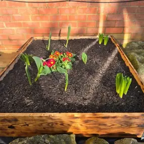 Bild von HH Gardening & Maintenance Ltd