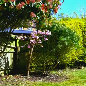 Bild von HH Gardening & Maintenance Ltd