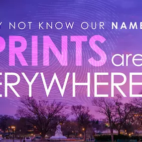 Bild von CSI Printing & Graphics