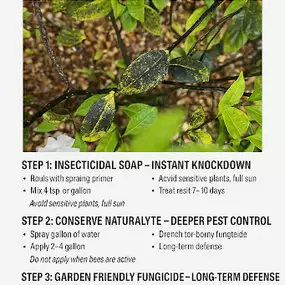 Bild von DIY Pest and Lawn
