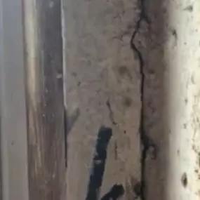 Bild von 100% Lead Inspections LLC