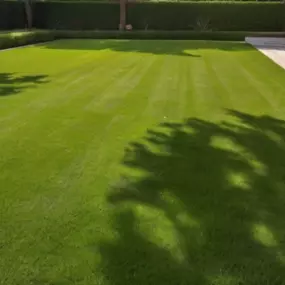 Bild von Gartenpflege Schumacher