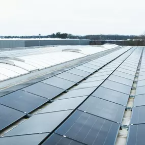Bild von Tiger Energy Project GmbH