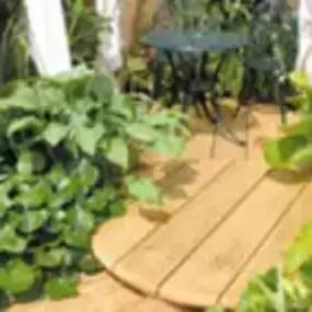 Bild von Thomson Landscaping