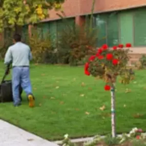 Bild von Thomson Landscaping