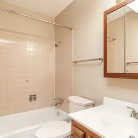 a bathroom with a tub sink and toilet and a mirror