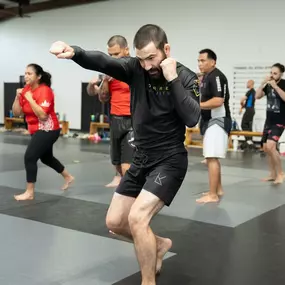 Torres Jiu-Jitsu & MMA Kickboxing & MMA Class