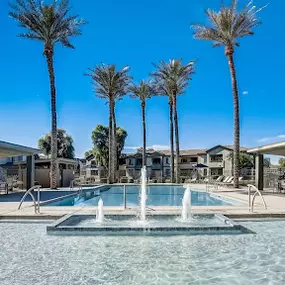 Bild von Adiamo Palm Valley