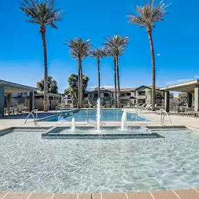 Bild von Adiamo Palm Valley