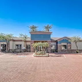 Bild von Adiamo Palm Valley