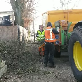 Velwerk en Versnipperen