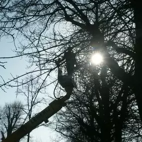 Velwerk en Versnipperen