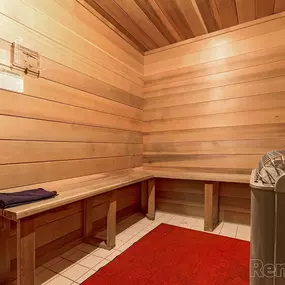 A wooden sauna with a red carpet and benches