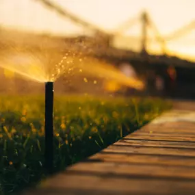 Commercial Irrigation