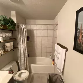 Bild von Silverback Plumbing and Drain