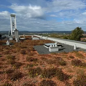 Bild von Waldmann Bedachungen