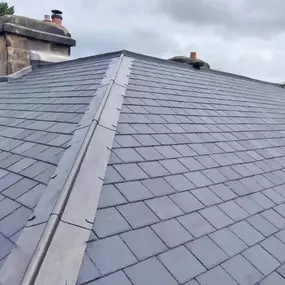 Bild von SG Elite Roofing & Solar Energy Services.