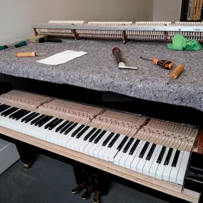 Bild von Infinity Piano Services