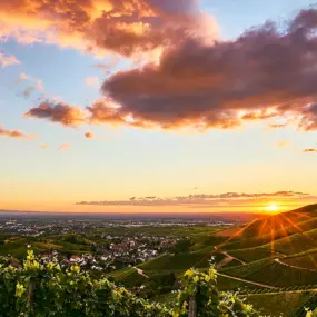 Bild von Fotograf Jörg Bongartz | Moderne Porträts & Business Fotografie aus Bühl