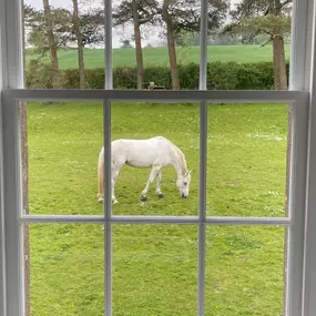 Bild von BP Joinery & Sash Windows Ltd