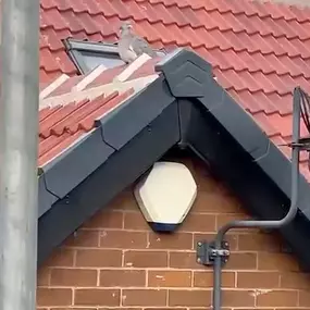 Bild von Roofing & Building Solutions