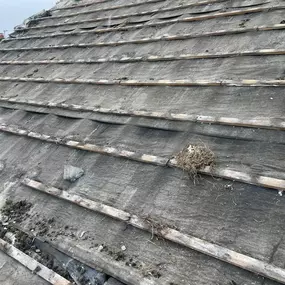 Bild von Roofing & Building Solutions