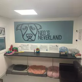Bild von Neo's Neverland