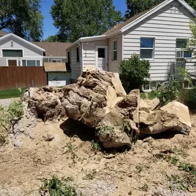Large uprooted tree stump with dirt and roots near residential house.