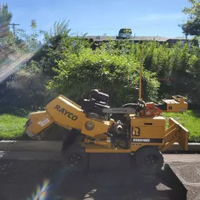 Yellow Rayco stump grinder parked on street near green bushes.