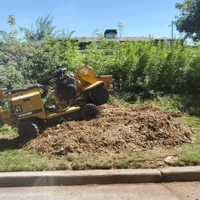 Yellow Rayco stump grinder machine grinding a stump with wood chip pile.