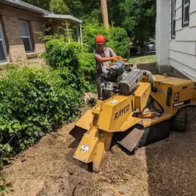 Worker operating Rayco stump grinder near house, removing tree stump debris.