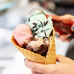 Cucco's Gelateria