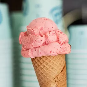 Cucco's Gelateria