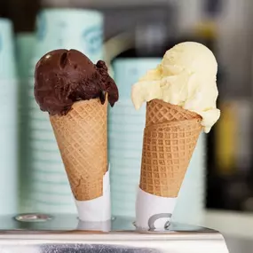 Cucco's Gelateria