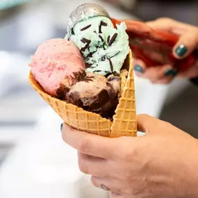 Cucco's Gelateria