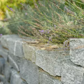 Bild von Garten & so Markus Tietz