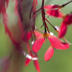 Bild von Garten & so Markus Tietz