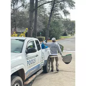 Tech grabbing the net and heading in for pool service—skimming and keeping things crystal clear.