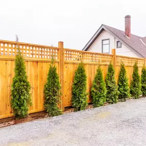 Bild von Amerifence