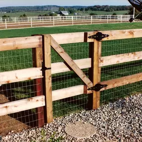 Bild von Amerifence