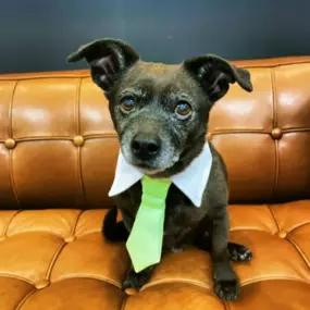 Bild von Bradley Johnson Lawyers