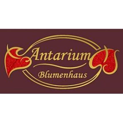 Logo from Antarium Blumenhaus