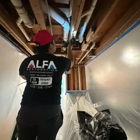 Bild von Alfa Restoration Services Inc.