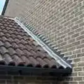 Bild von CBM Roofing Ltd