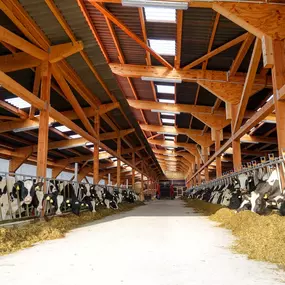 Baumeister Ing. Karl Kazelt Ges.m.b.H., Asparn an der Zaya