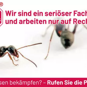 Bild von ATOX Schädlingsbekämpfungsfachbetrieb