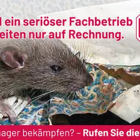 Bild von ATOX Schädlingsbekämpfungsfachbetrieb
