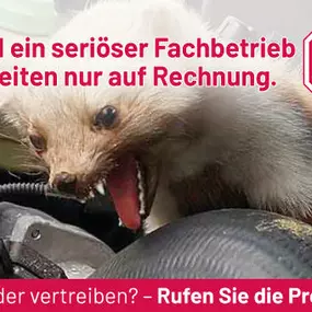 Bild von ATOX Schädlingsbekämpfungsfachbetrieb