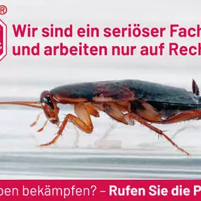 Bild von ATOX Schädlingsbekämpfungsfachbetrieb