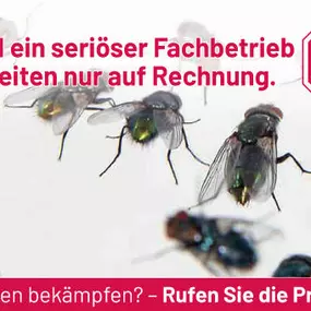 Bild von ATOX Schädlingsbekämpfungsfachbetrieb